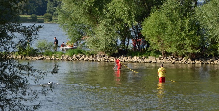 PRhein Koeln Porz Zuendorf An der Groov P150.JPG